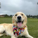 Photo of Charlie