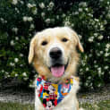 Photo of Charlie