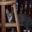 Photo of Frances