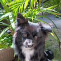 Photo of Danny