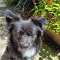 Photo of Danny