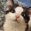 Photo of Brianna