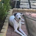 Photo of Zeus