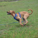 Photo of Max