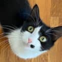 Photo of Meredith