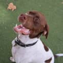 Photo of Jethro
