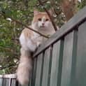 Photo of Jasper
