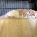 Photo of Jasper