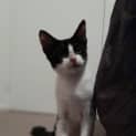 Photo of Zombie