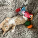Photo of Migu