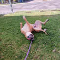 Photo of Jack