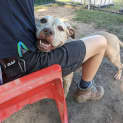 Photo of Honey