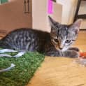 Photo of Wednesday