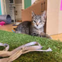 Photo of Wednesday