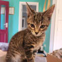 Photo of Wednesday