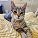 Photo of Wednesday