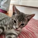 Photo of Wednesday