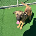 Photo of Freya
