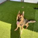 Photo of Holly