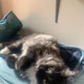 Photo of Holly