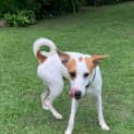 Photo of Evie