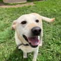 Photo of Archie