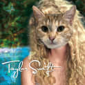 Photo of T Swizzle