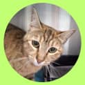 Photo of Kiwi
