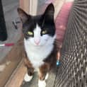 Photo of Ember