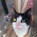 Photo of Ember