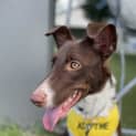 Photo of Bounce