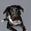 Photo of Berry