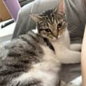 Photo of Bella
