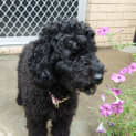 Photo of Minnie