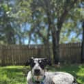 Photo of Penelope