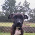 Photo of Zephyr