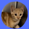 Photo of Aeris