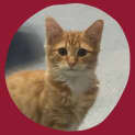 Photo of Colby