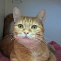 Photo of Hermes
