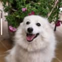 Photo of Beila 