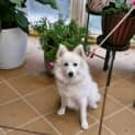Photo of Beila 