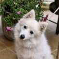 Photo of Beila 