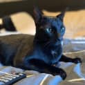 Photo of Jiji
