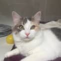 Photo of Lucinda