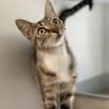 Photo of Lulu
