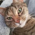Photo of Leeloo
