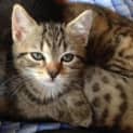 Photo of Leeloo