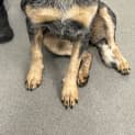 Photo of Bingo