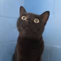 Photo of Luna