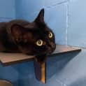 Photo of Luna